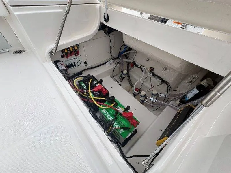 Slide: The Image of Robalo 246 Cayman 2026 - 98