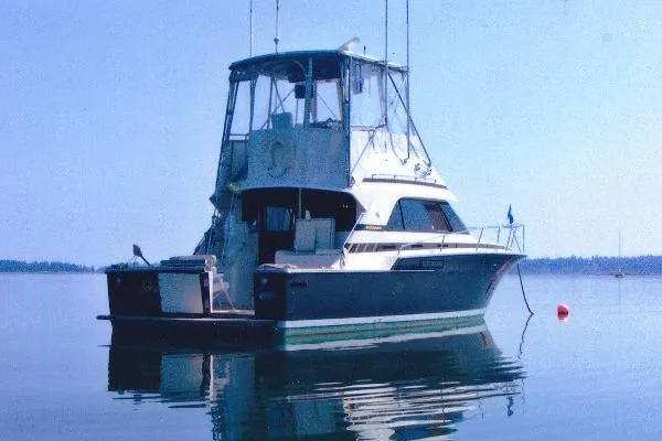 Slide: The Image of Bertram 37 Convertible 1987 - 0