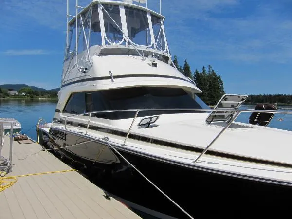 Slide: The Image of Bertram 37 Convertible 1987 - 3