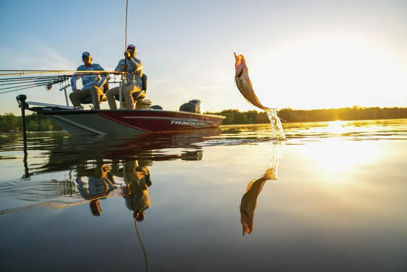 Slide: The Image of Manufacturer Provided Image - 25