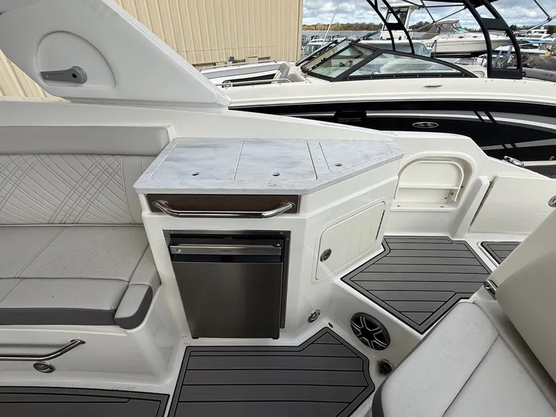 Slide: The Image of Sea Ray SDX 290 2026 - 13