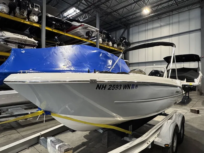 Slide: The Image of Stingray 172 SC 2021 - 2