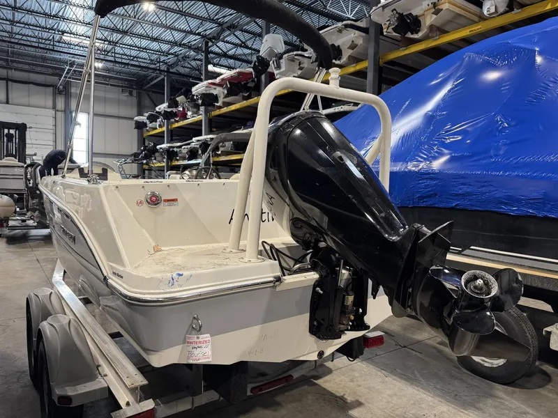 Slide: The Image of Stingray 172 SC 2021 - 3