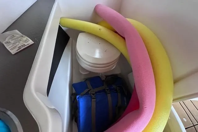 Slide: The Image of Interior of 2019 Sea Ray SLX 250 with pool noodles and a blue bag. - 16