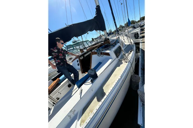 Slide: The Image of Woman and dog inside 1980 Catalina 30 sailboat, dining area with table and drinks. - 15