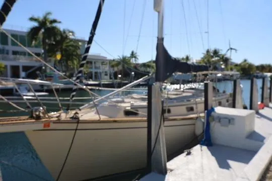 Slide: The Image of 1989 Island Packet 38 sailboat docked in a marina, featuring a spacious deck and calm waters. - 21