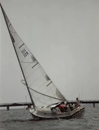 Slide: The Image of Hinterhoeller Nonsuch Ultra 1987 - 0