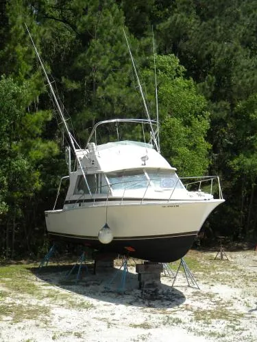 Slide: The Image of Bertram 33 Flybridge Cruiser 1977 - 1