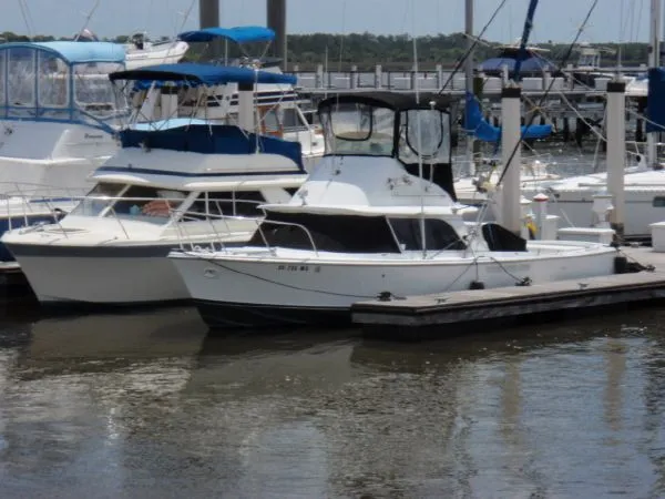 Slide: The Image of Bertram 31 Flybridge Cruiser 1976 - 0