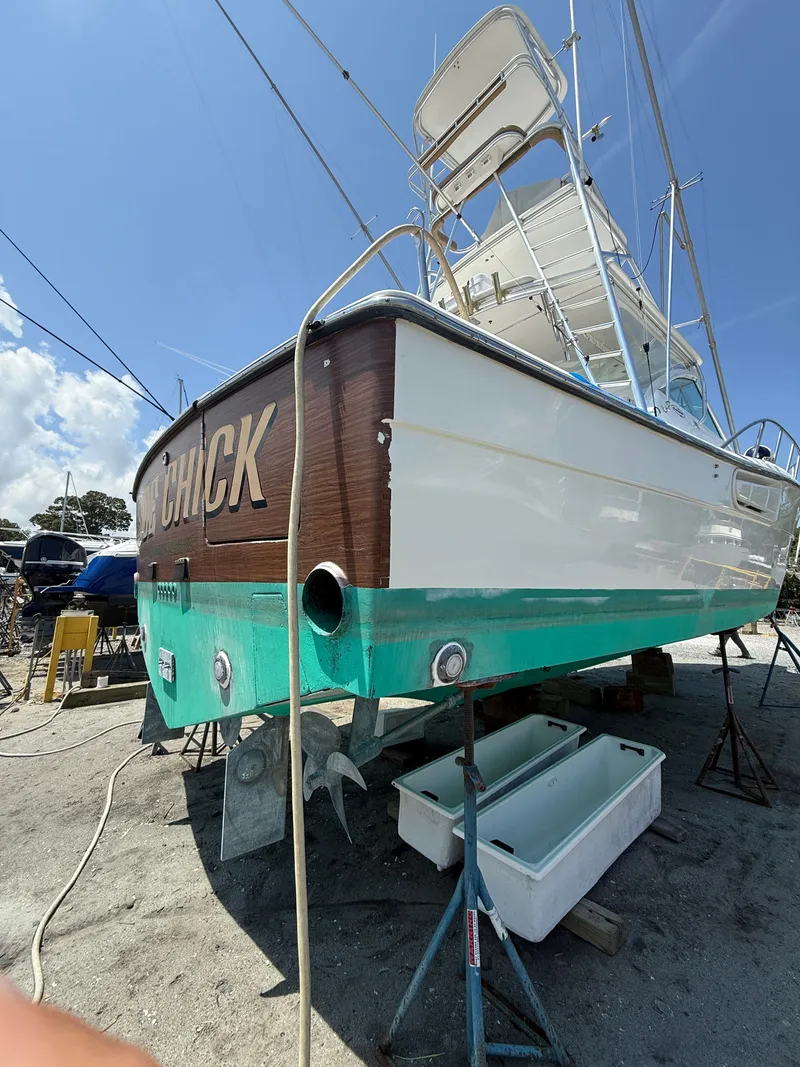 Slide: The Image of Rampage 38 Express 2002 - 50