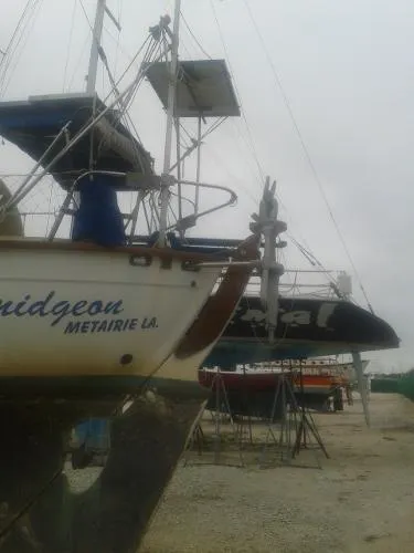Slide: The Image of Southern Cross Cutter 1977 - 2