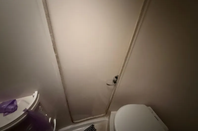 Slide: The Image of 2008 Intrepid 377 Walkaround bathroom interior with toilet and shower door. - 138