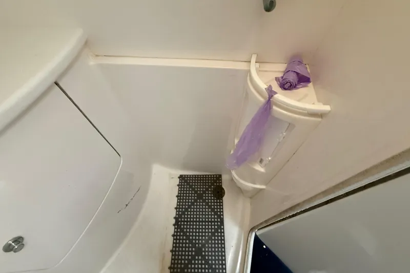 Slide: The Image of 2008 Intrepid 377 Walkaround bathroom interior with storage and purple bag. - 145