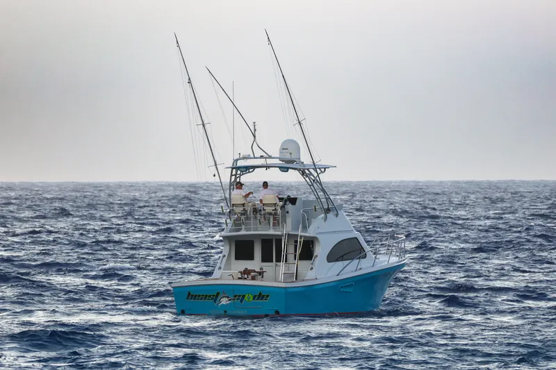 Slide: The Image of 2001 Black Watch 40 boat on open ocean with fishing rods. - 2