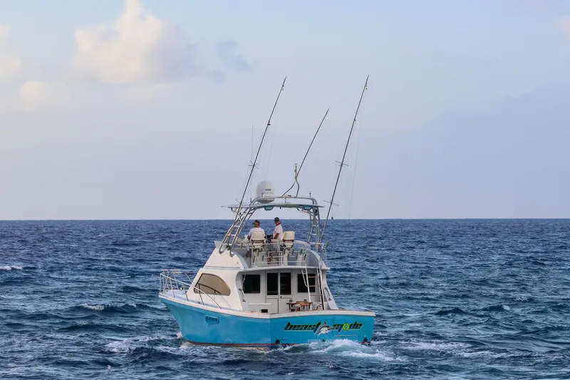 Slide: The Image of A 2001 Black Watch 40 boat navigating the ocean under a clear sky. - 4
