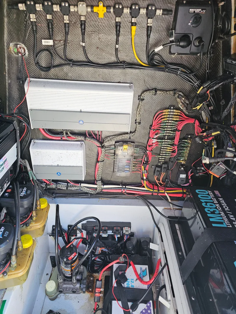 Slide: The Image of Bonefish Malvado 26 2020 - 15