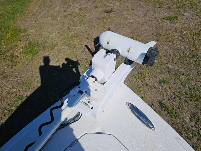 Slide: The Image of Bonefish Malvado 26 2020 - 6