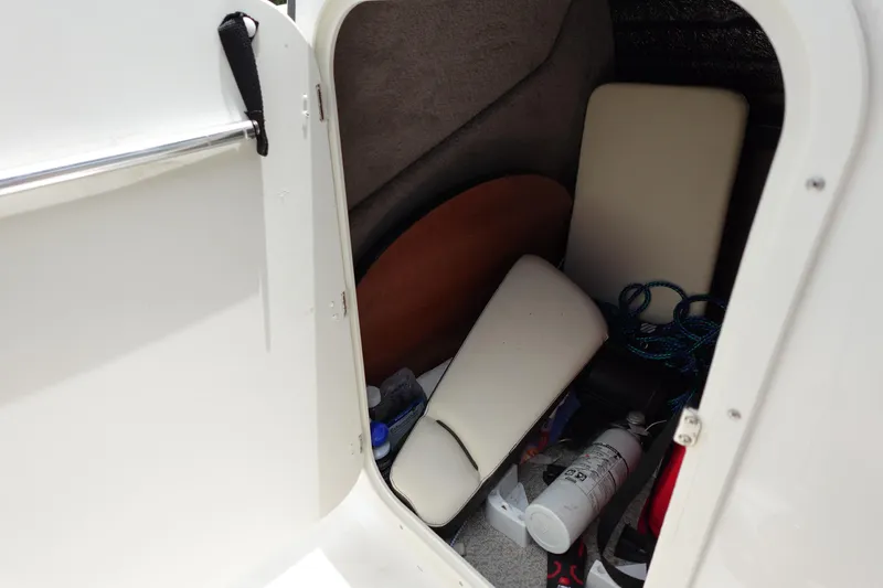 Slide: The Image of Stingray 231 DC 2022 - 55