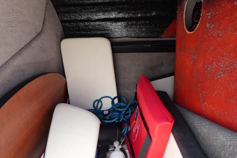 Slide: The Image of Stingray 231 DC 2022 - 56