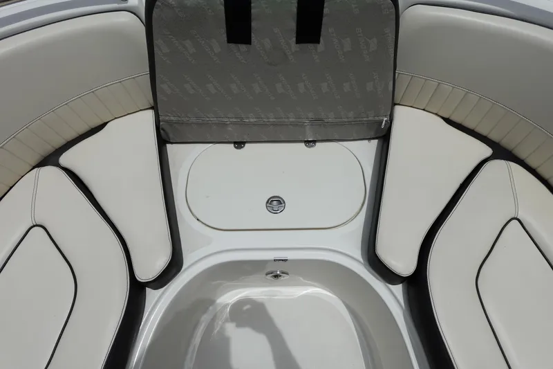 Slide: The Image of Stingray 231 DC 2022 - 61