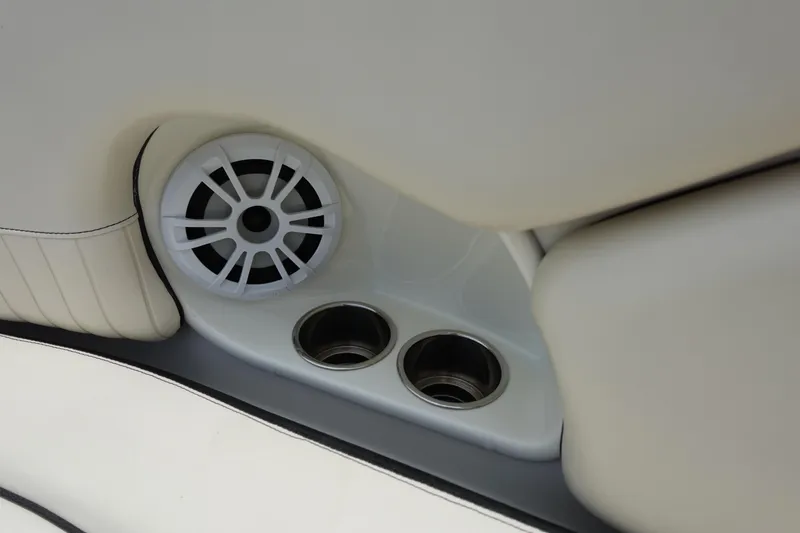 Slide: The Image of Stingray 231 DC 2022 - 71