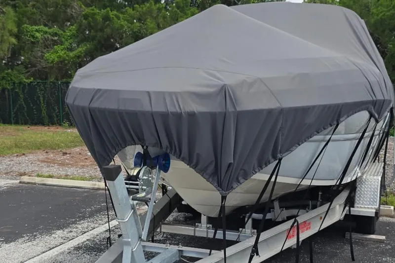 Slide: The Image of Stingray 231 DC 2022 - 74