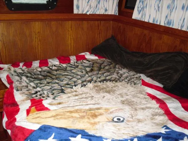 Slide: The Image of Cooper Prowler Aft Cabin 35' 1988 - 5