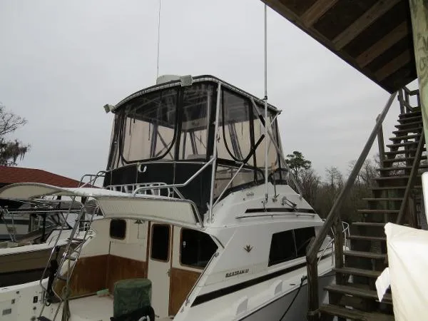 Slide: The Image of Bertram 33 Sport Fisherman 1988 - 4