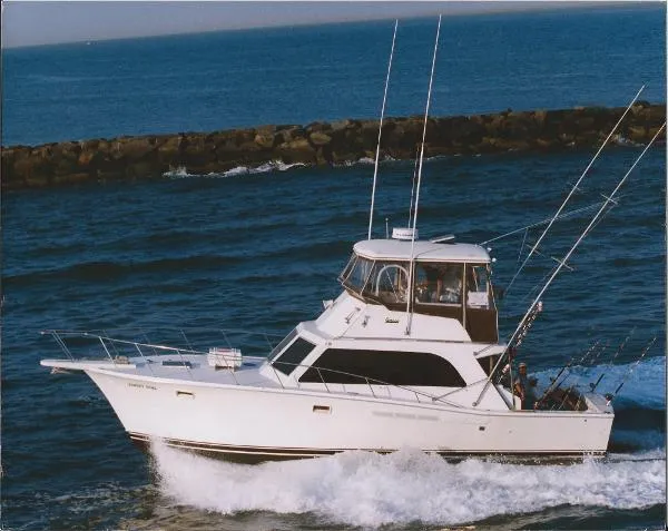 Slide: The Image of Jersey Convertible 1978 - 5