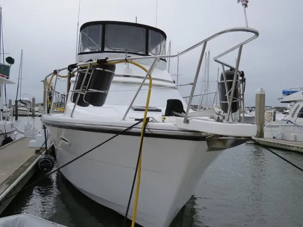 Slide: The Image of Jefferson Marlago 46 Sundeck 1995 - 3