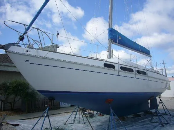 Slide: The Image of Morgan OI Sloop 1973 - 0