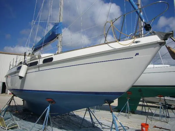 Slide: The Image of Morgan OI Sloop 1973 - 1