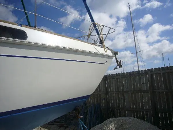 Slide: The Image of Morgan OI Sloop 1973 - 3
