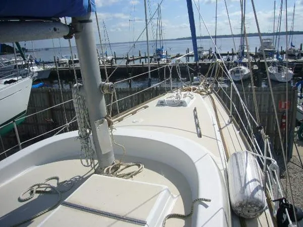 Slide: The Image of Morgan OI Sloop 1973 - 9