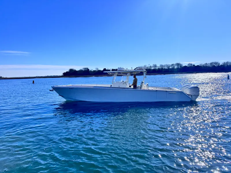 Slide: The Image of Jupiter 38 HFS 2015 - 2