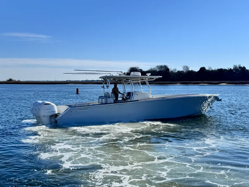 Slide: The Image of Jupiter 38 HFS 2015 - 4