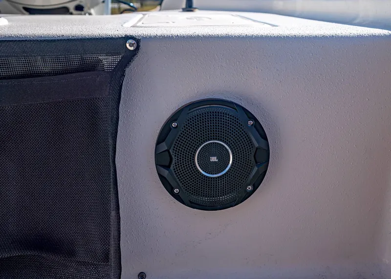 Slide: The Image of Carolina E20JVX 2026 - 11