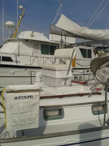 Slide: The Image of Kelly 1985 - 4