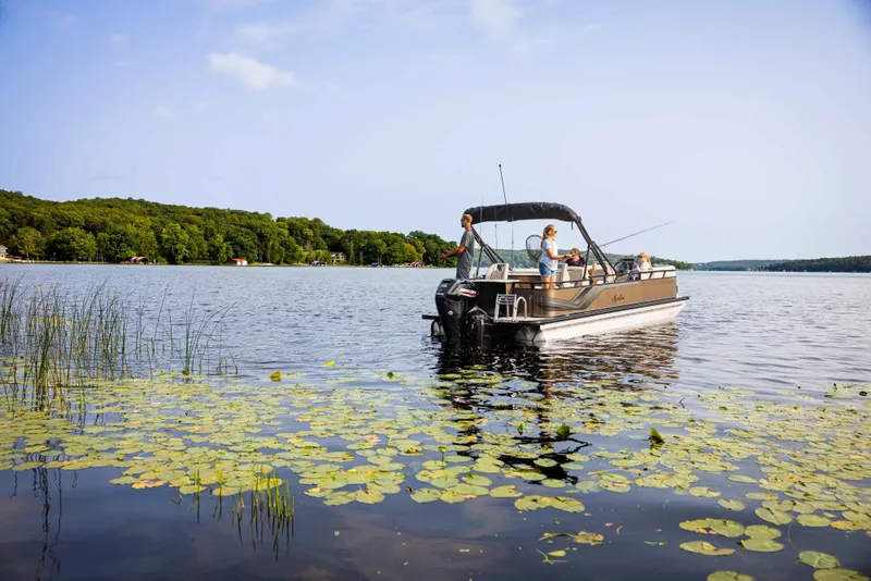 The Image of Avalon VEN 2180 RF 2026 - 1