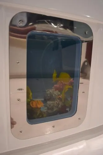 Slide: The Image of Statement 37 SUV 2011 - 6