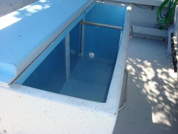Slide: The Image of Morgan Trawler 1990 - 7