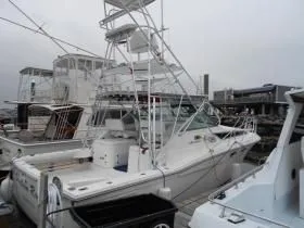 Slide: The Image of Wellcraft COASTAL 1996 - 2