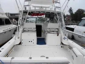 Slide: The Image of Wellcraft COASTAL 1996 - 3