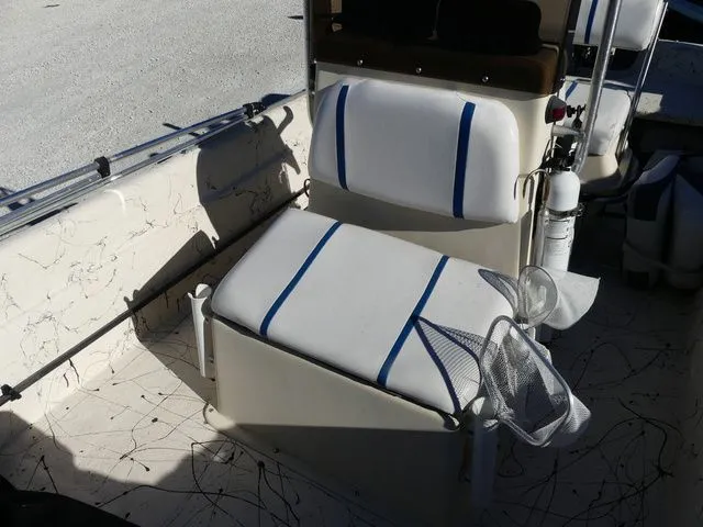 Slide: The Image of Carolina J19 2000 - 13