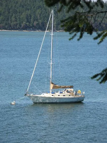Slide: The Image of Finch Sloop 2005 - 11