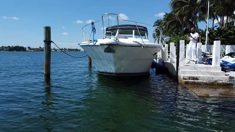 Slide: The Image of 2000 Tiara Yachts 3500 Open docked by palm trees on a sunny day. - 3