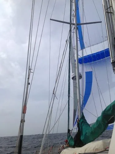 Slide: The Image of Reinke Super Secura 8m Steel Schooner 2003 - 7