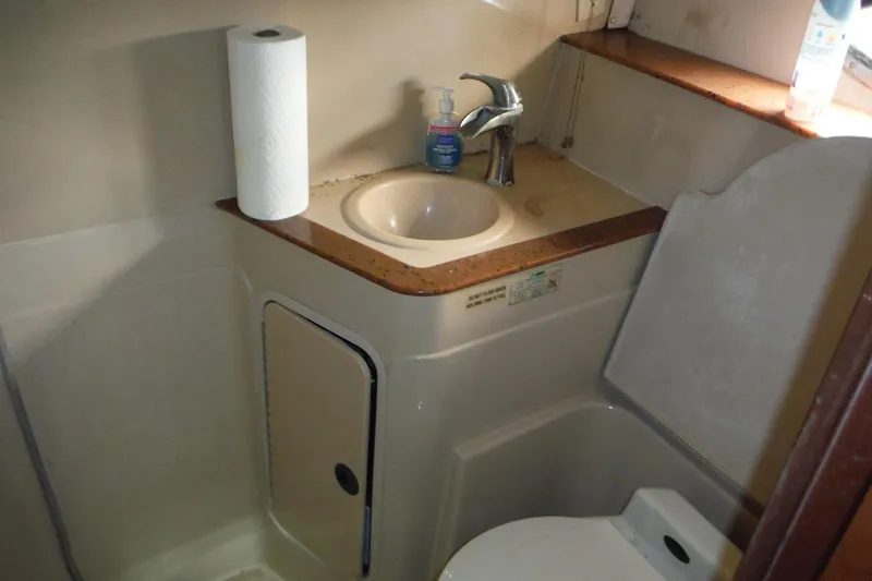 Slide: The Image of 1999 Cruisers 4270 Express bathroom with sink, faucet, and toilet paper roll. - 20
