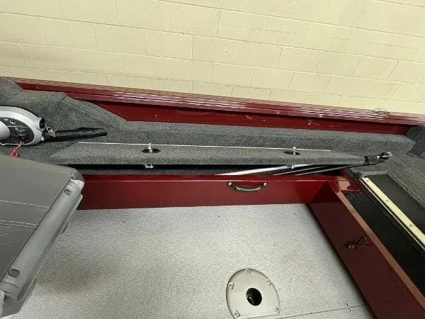 Slide: The Image of Starcraft Storm 176 DC Pro 2024 - 16