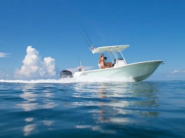 Slide: The Image of Sea Fox 248 Commander 2019 - 1